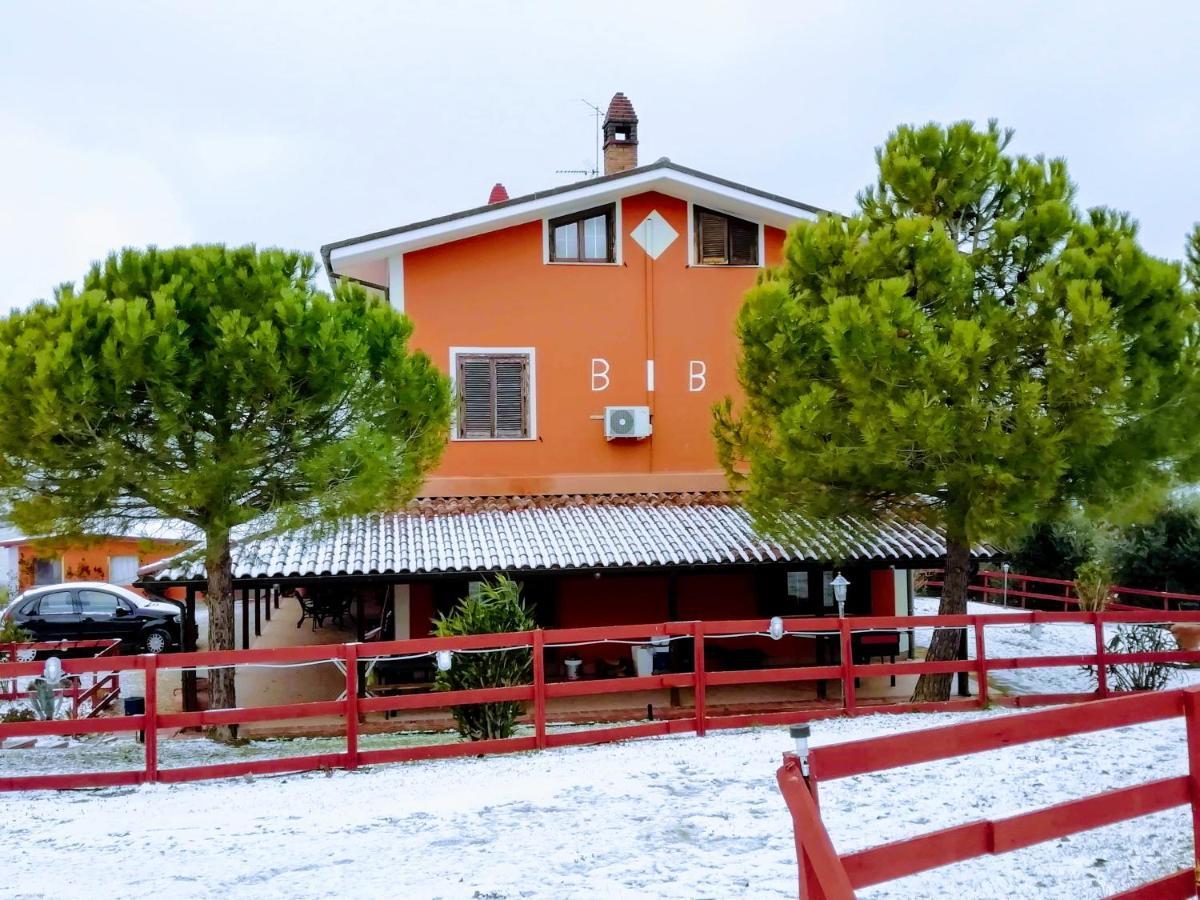 B&B Gli Amici Del Tubarello Roseto Degli Abruzzi Εξωτερικό φωτογραφία