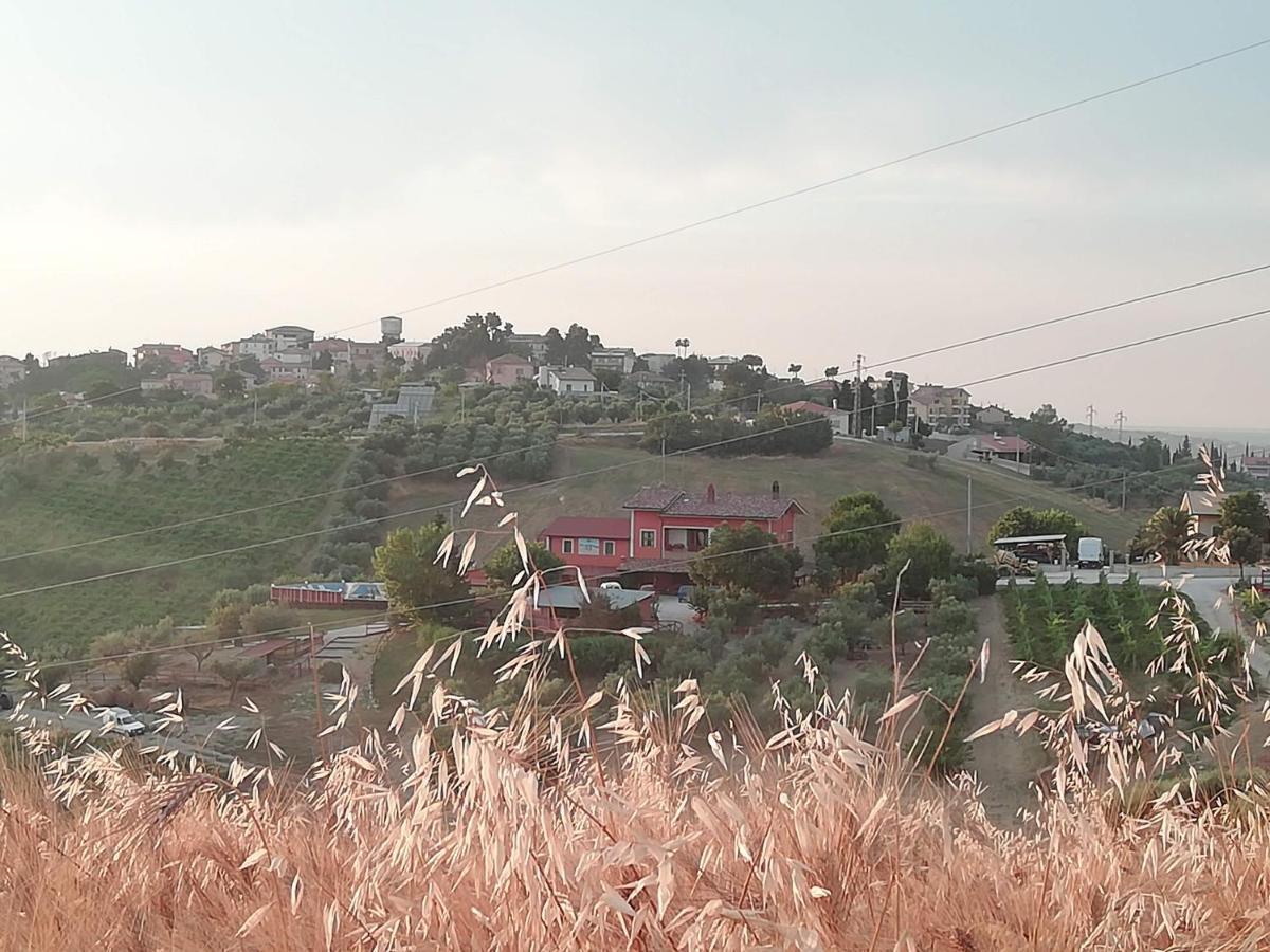 B&B Gli Amici Del Tubarello Roseto Degli Abruzzi Εξωτερικό φωτογραφία