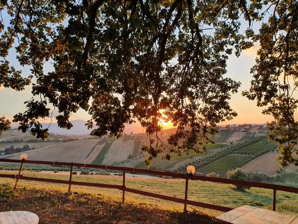 B&B Gli Amici Del Tubarello Roseto Degli Abruzzi Εξωτερικό φωτογραφία