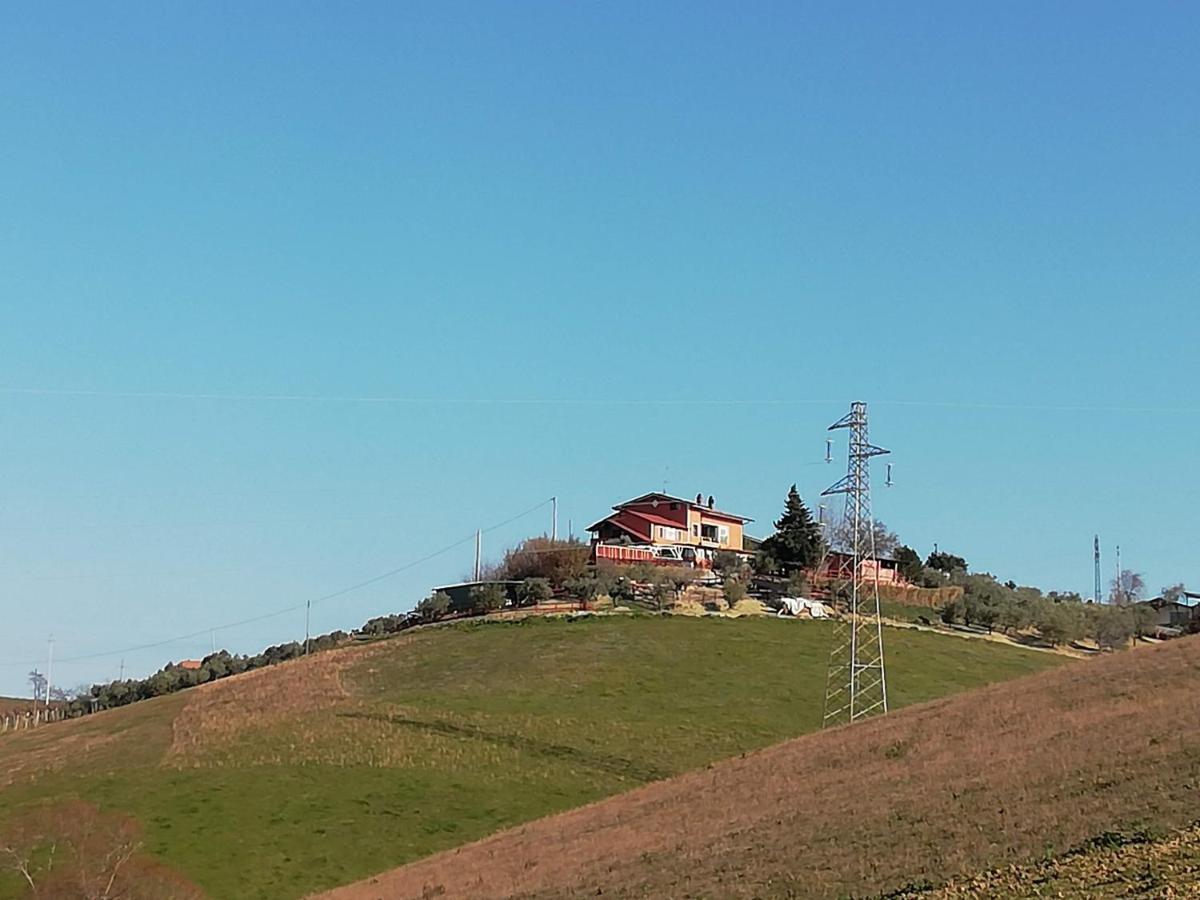 B&B Gli Amici Del Tubarello Roseto Degli Abruzzi Εξωτερικό φωτογραφία