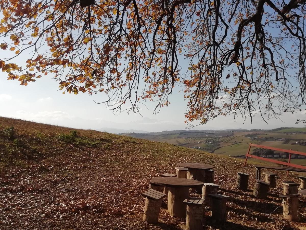 B&B Gli Amici Del Tubarello Roseto Degli Abruzzi Εξωτερικό φωτογραφία