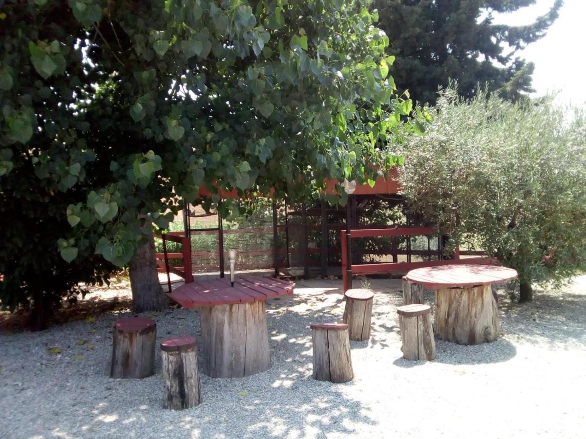 B&B Gli Amici Del Tubarello Roseto Degli Abruzzi Εξωτερικό φωτογραφία