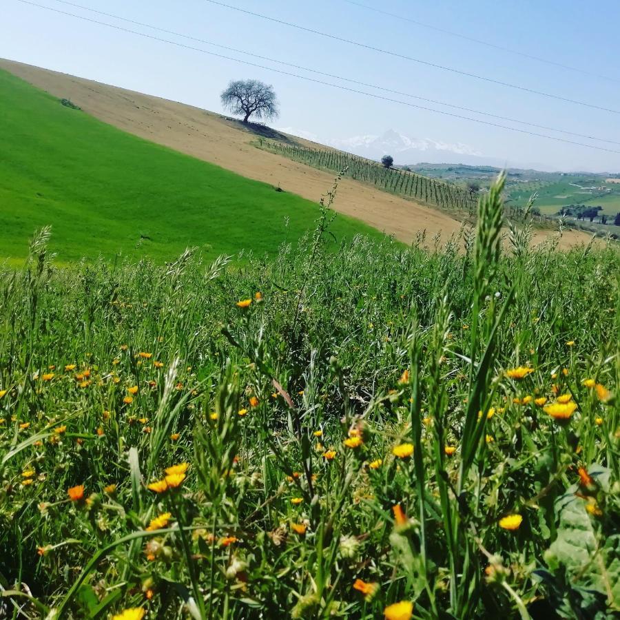 B&B Gli Amici Del Tubarello Roseto Degli Abruzzi Εξωτερικό φωτογραφία