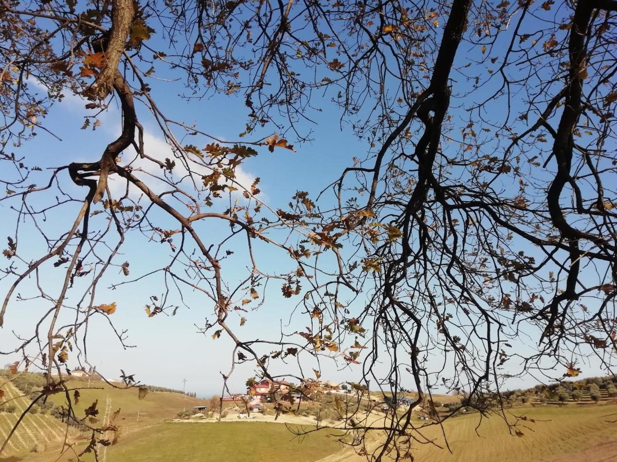 B&B Gli Amici Del Tubarello Roseto Degli Abruzzi Εξωτερικό φωτογραφία