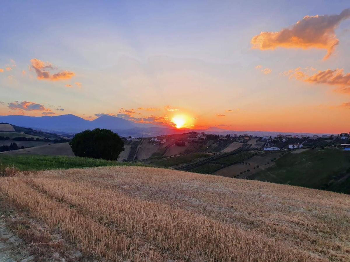 B&B Gli Amici Del Tubarello Roseto Degli Abruzzi Εξωτερικό φωτογραφία
