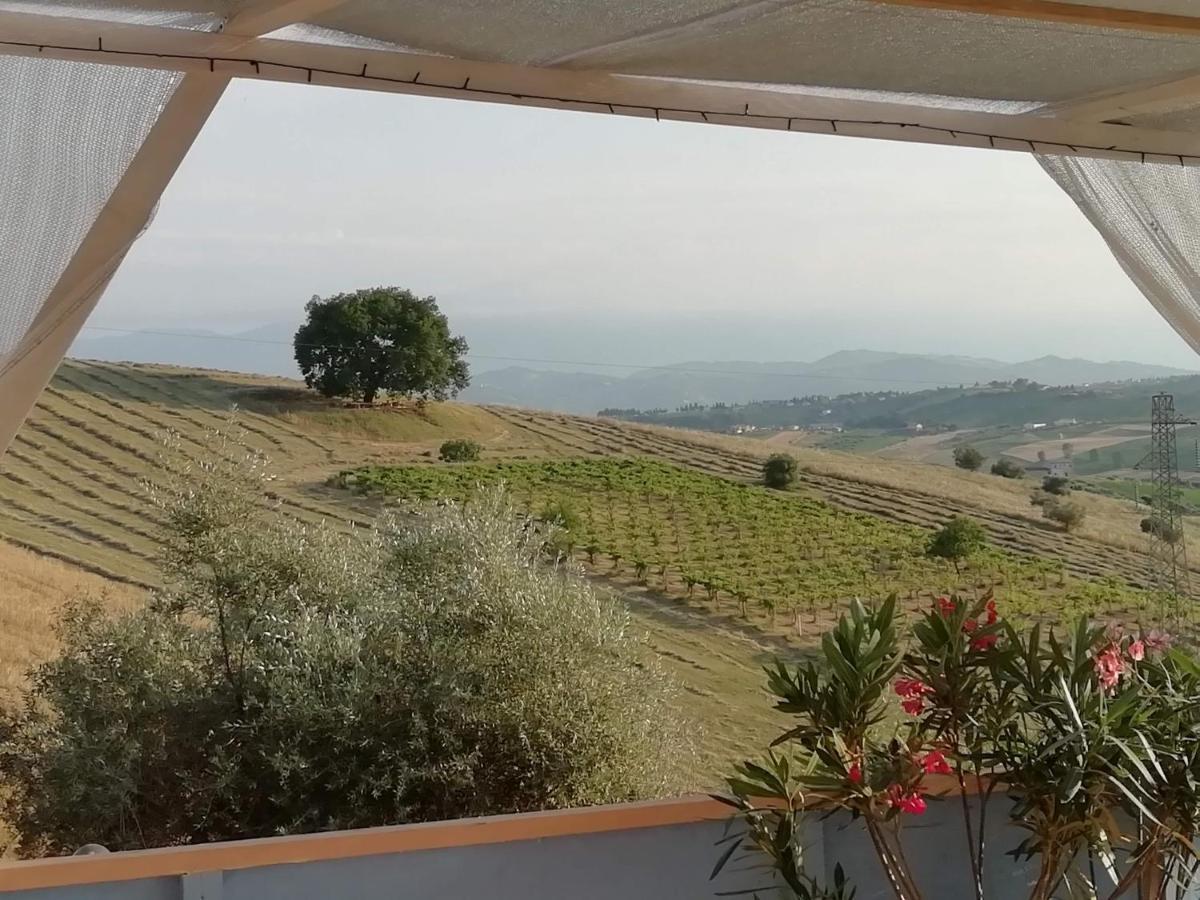 B&B Gli Amici Del Tubarello Roseto Degli Abruzzi Εξωτερικό φωτογραφία