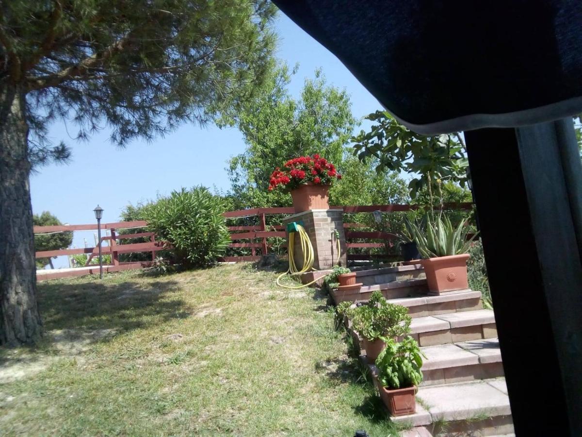 B&B Gli Amici Del Tubarello Roseto Degli Abruzzi Εξωτερικό φωτογραφία