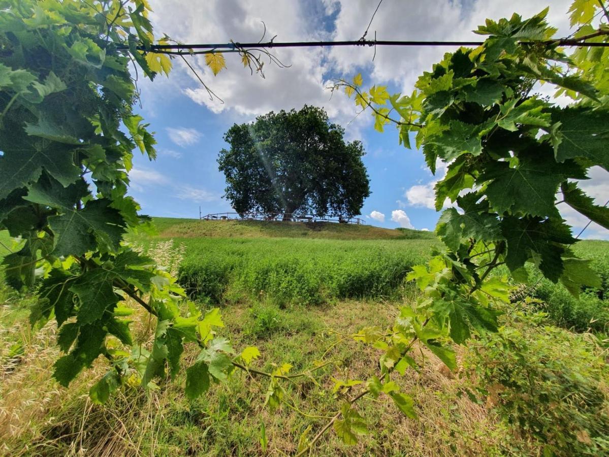 B&B Gli Amici Del Tubarello Roseto Degli Abruzzi Εξωτερικό φωτογραφία