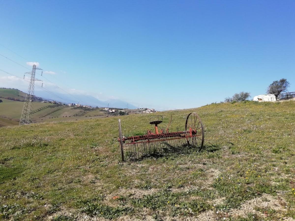 B&B Gli Amici Del Tubarello Roseto Degli Abruzzi Εξωτερικό φωτογραφία