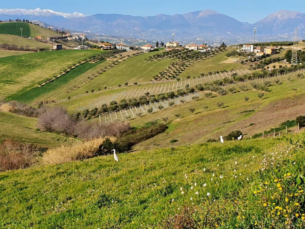 B&B Gli Amici Del Tubarello Roseto Degli Abruzzi Εξωτερικό φωτογραφία