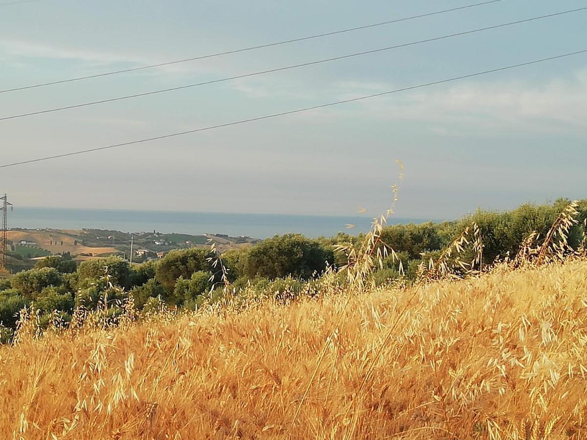 B&B Gli Amici Del Tubarello Roseto Degli Abruzzi Εξωτερικό φωτογραφία