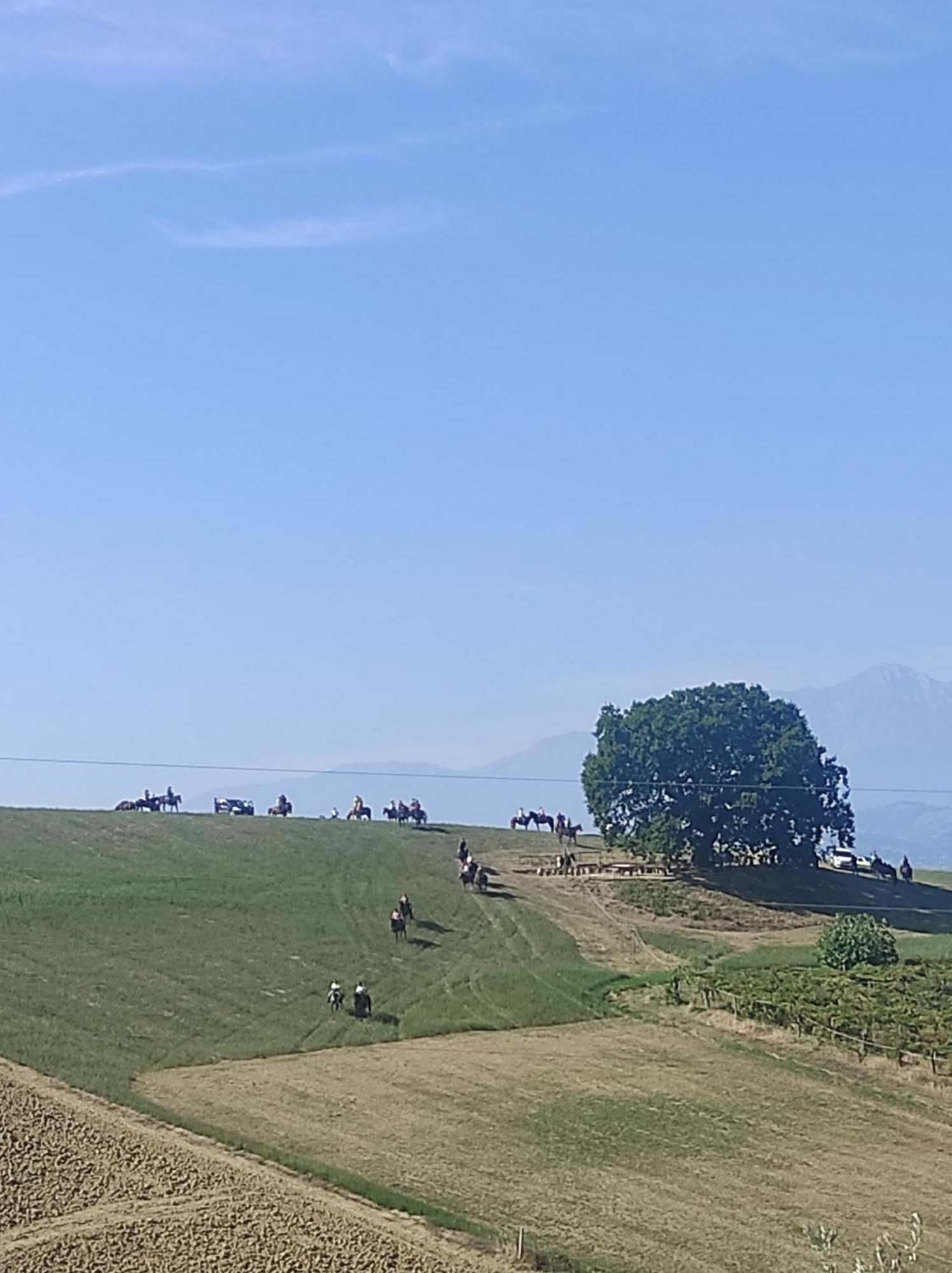 B&B Gli Amici Del Tubarello Roseto Degli Abruzzi Εξωτερικό φωτογραφία