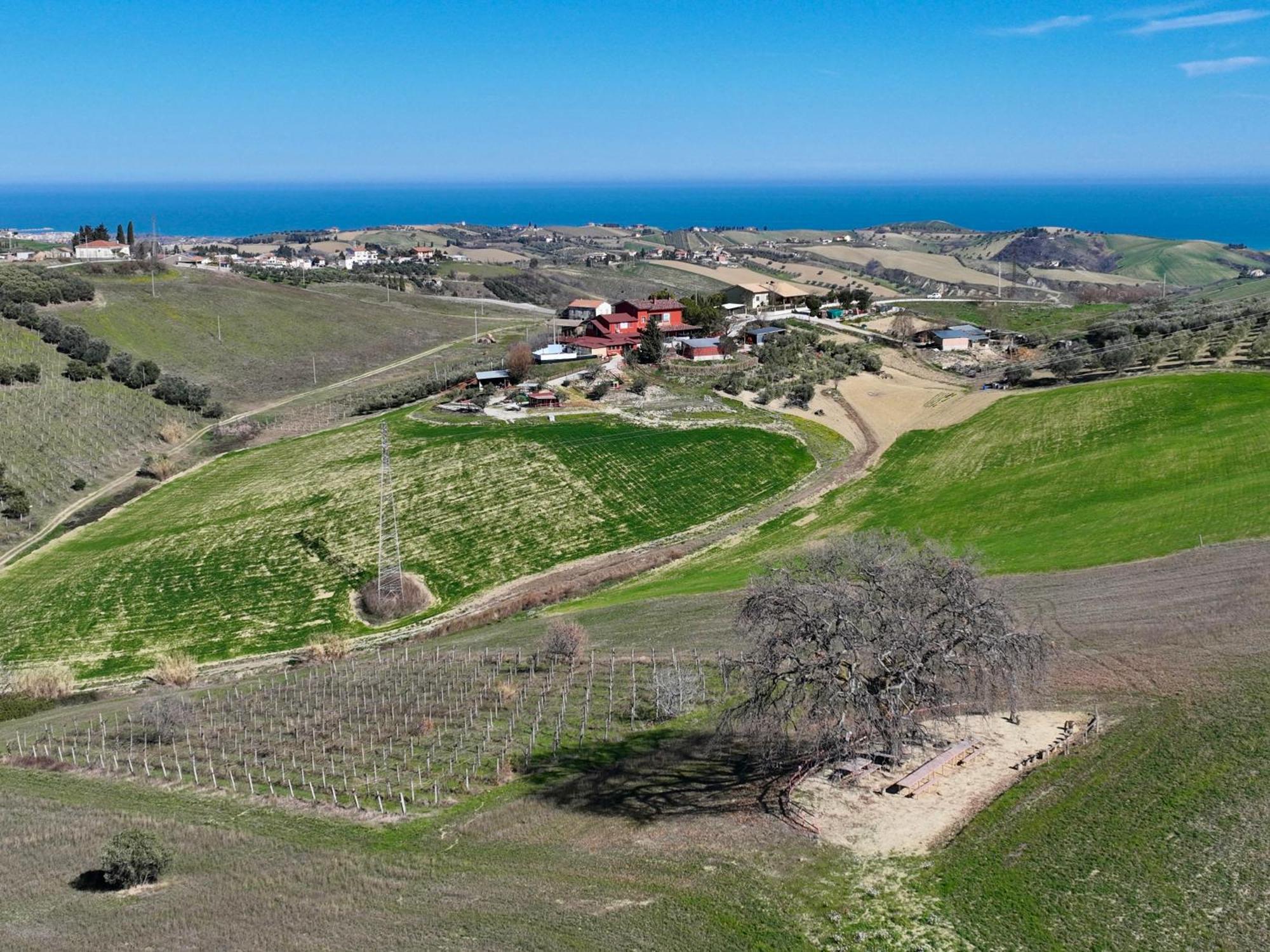 B&B Gli Amici Del Tubarello Roseto Degli Abruzzi Εξωτερικό φωτογραφία