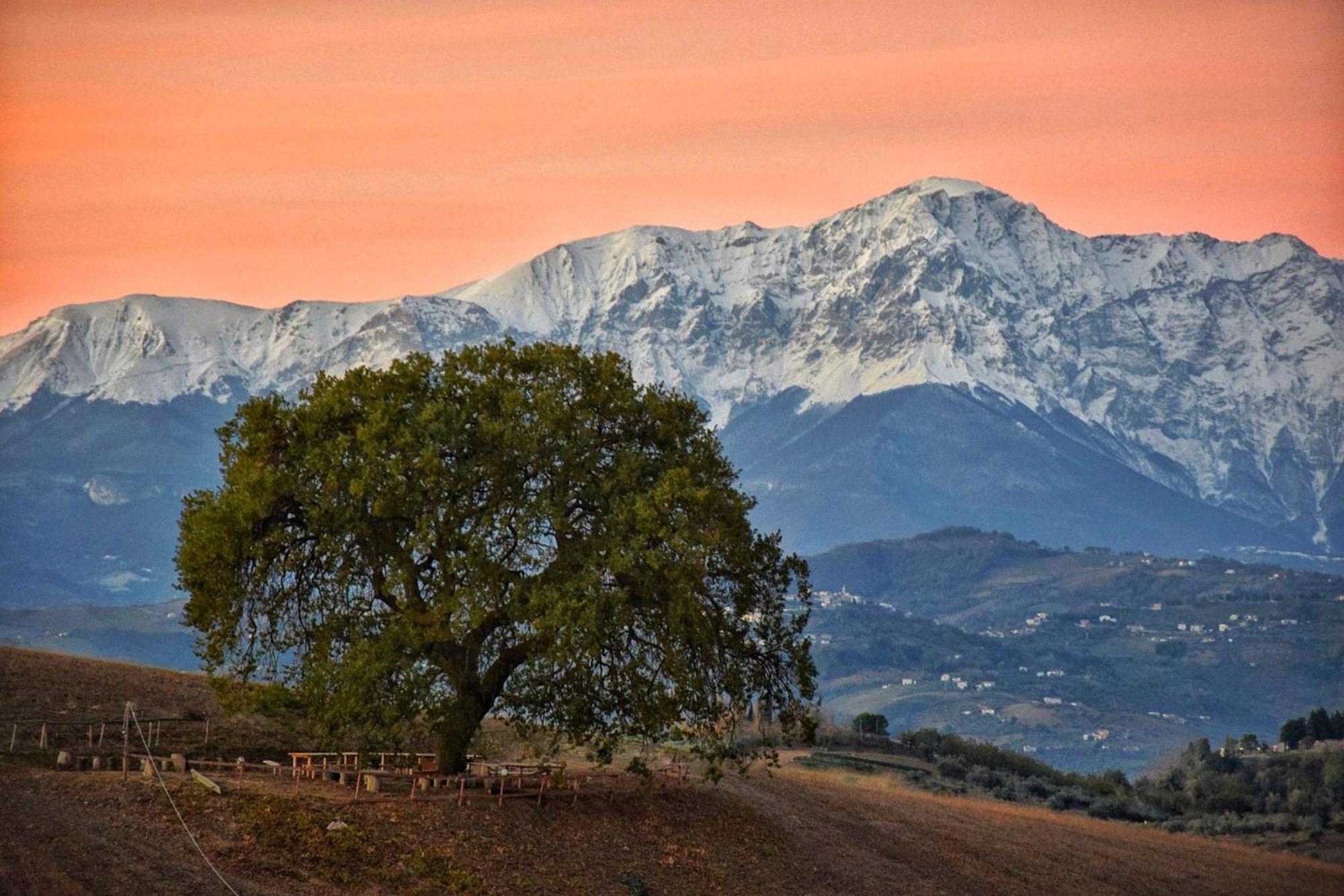 B&B Gli Amici Del Tubarello Roseto Degli Abruzzi Εξωτερικό φωτογραφία