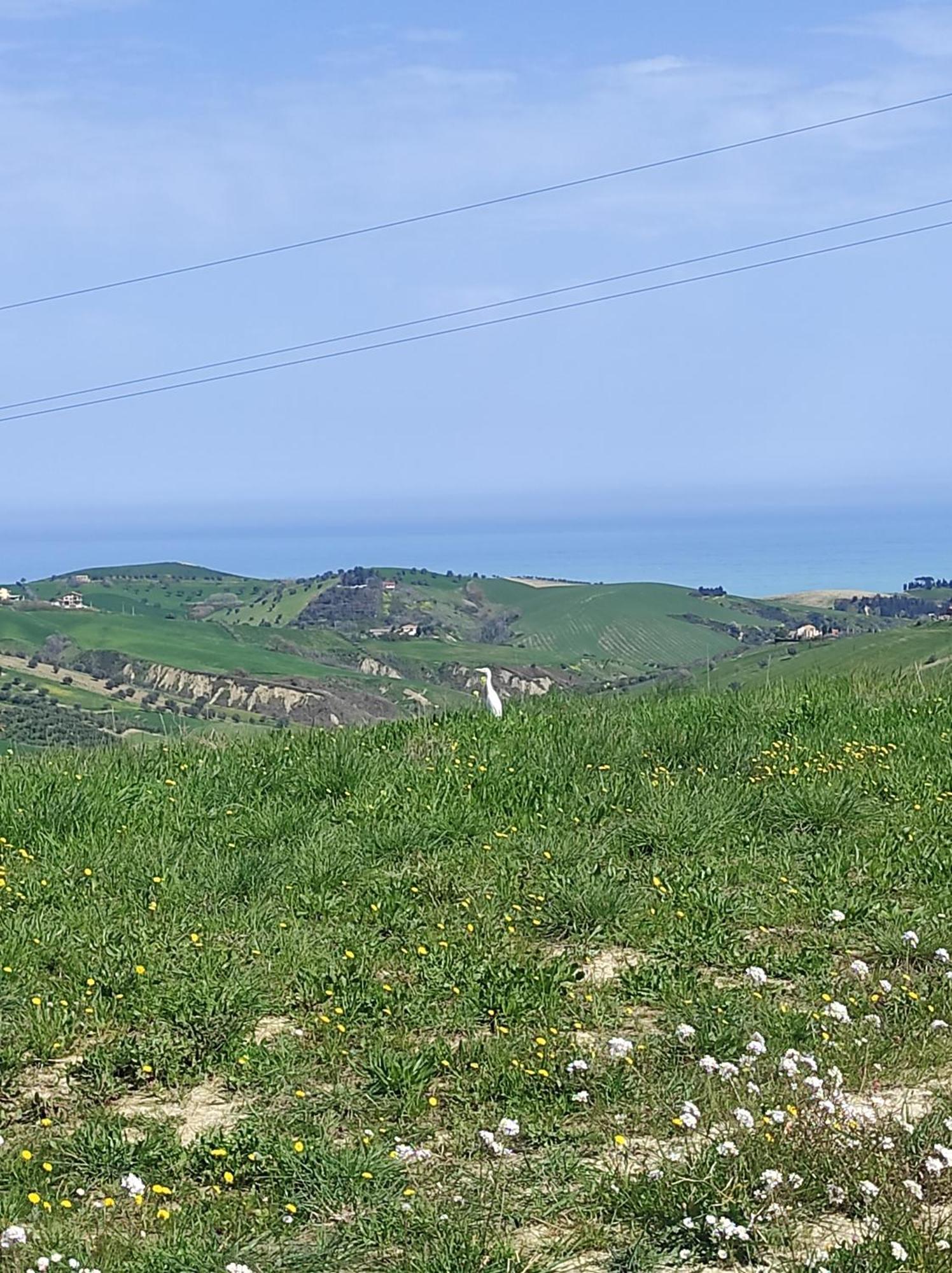 B&B Gli Amici Del Tubarello Roseto Degli Abruzzi Εξωτερικό φωτογραφία